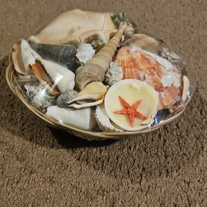 Decorative Basket shells Decor